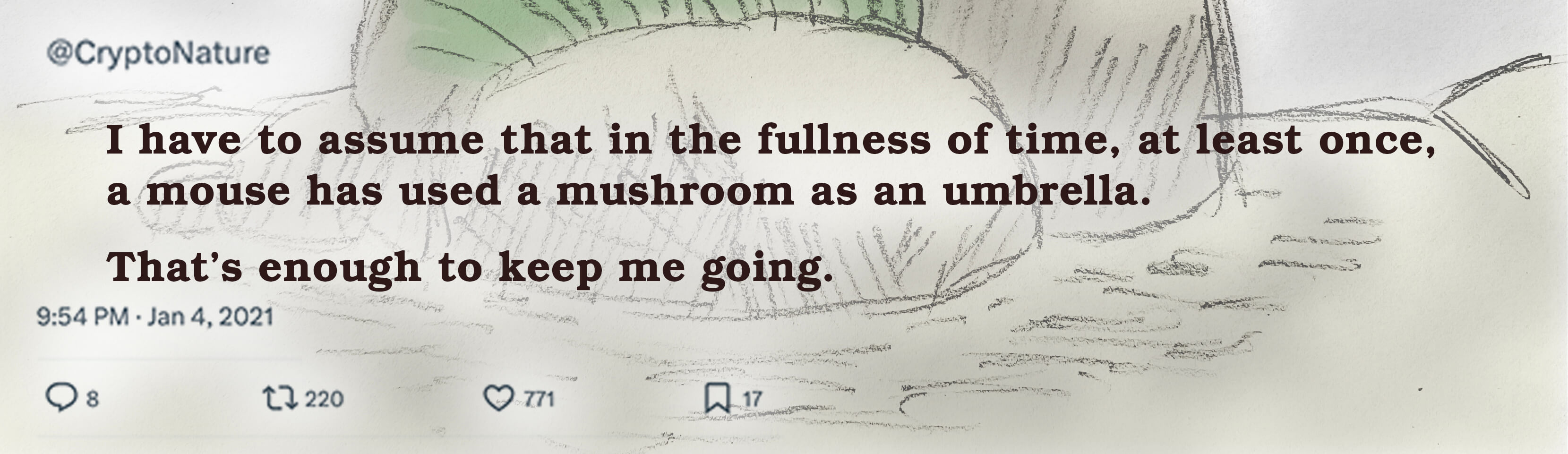 I have to assume that in the fullness of time, at least once, a mouse has used a mushroom as an umbrella. That’s enough to keep me going.