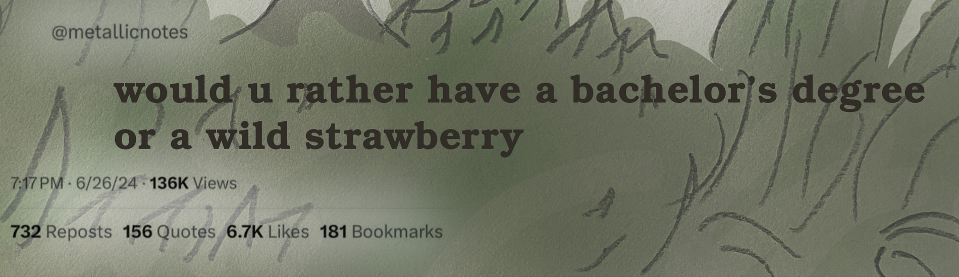 would u rather have a bachelor’s degree or a wild strawberry