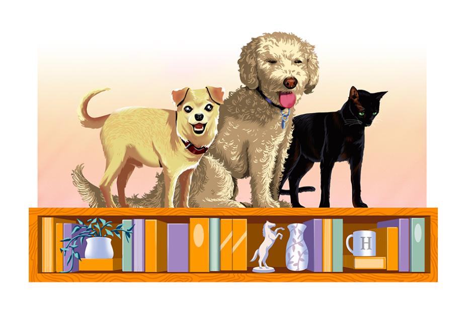 An image of two dogs and a cat standing on a bookshelf