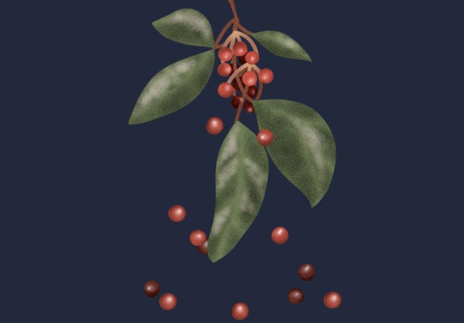 Berries dropping from a leafed branch 