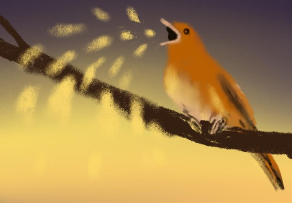 a nightingale sits on a branch singing