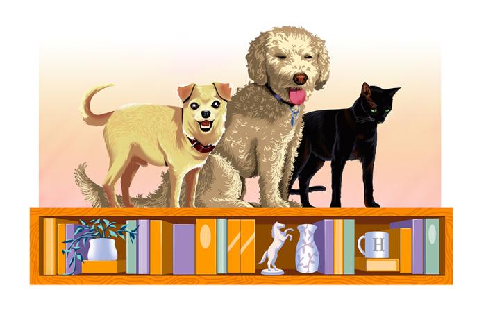 An image of two dogs and a cat standing on a bookshelf