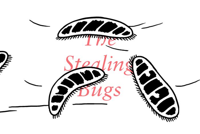 Banner for The Stealing Bugs, a comic by Michael DeForge