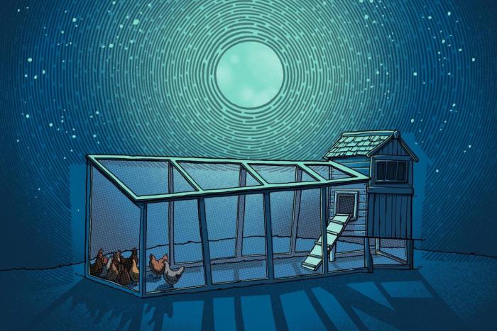 A chicken coop depicted in the moonlight