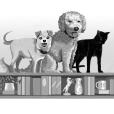 An image of two dogs and a cat standing on a bookshelf. 